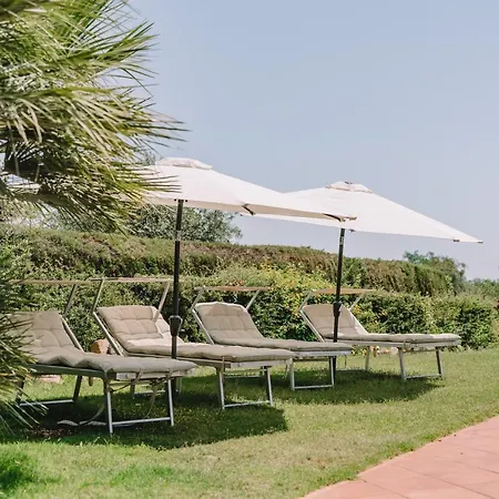 Villa Colombina Is Morus